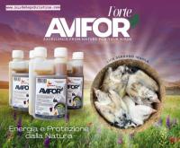 Avifor Forte 250ml - Voor Alle Vogels 